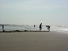 Belgische Küste: Am Strand bei Morgennebel