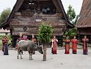 Batak-Schautänzer in Simanindo Huta Bolon auf Samosir im Toba-See  Sumatra  Indonesien