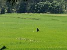 Im Land der Minangkabau - Sumatra Indonesien