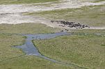 Ngorongoro / Tansania