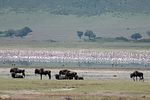 Ngorongoro / Tansania