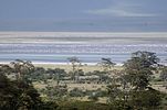 Ngorongoro / Tansania