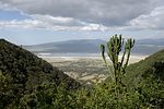 Ngorongoro / Tansania