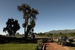 Ngorongoro / Tansania