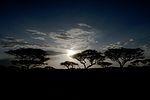 Serengeti / Tansania