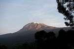 Am Hang des Kilimandscharo / Tansania