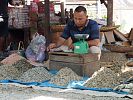 Auf dem Markt von Bukit Lawang  Sumatra Indonesien