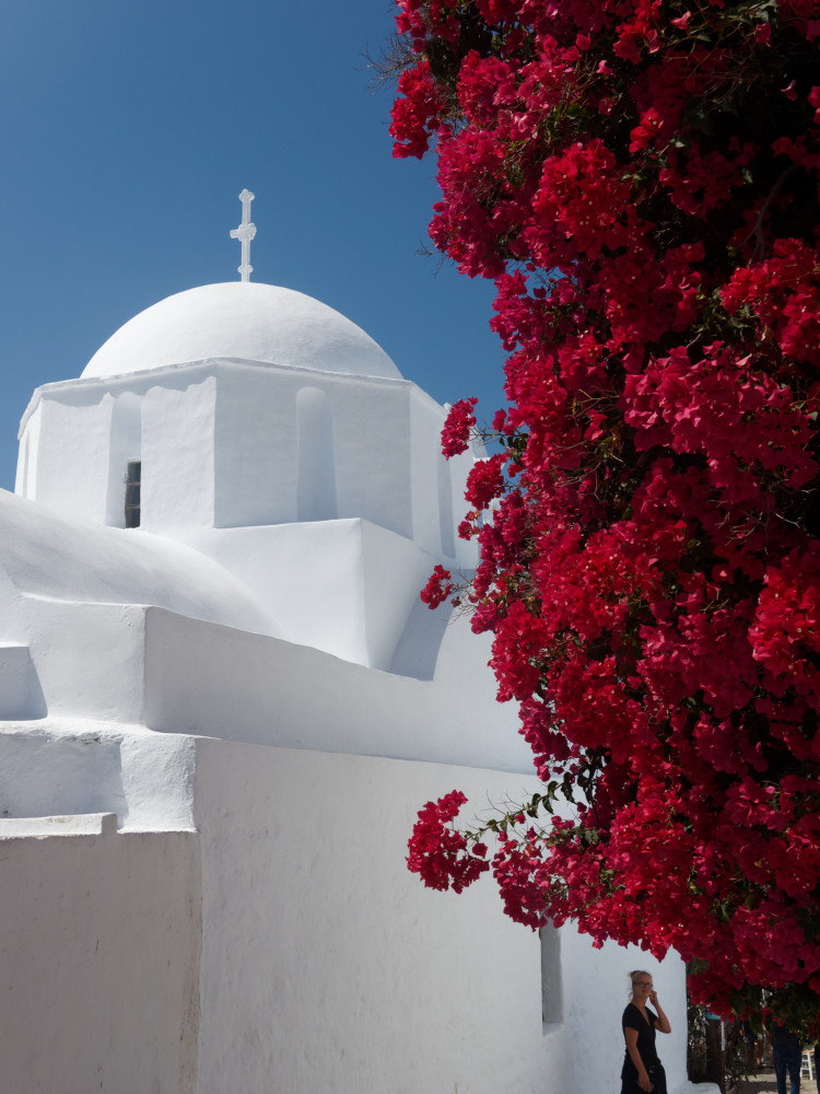 Chora von Amorgos: Blühender Busch vor weißgetünchter Kirche