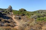 Naxos / Griechenland