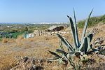 Naxos / Griechenland