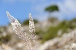 Naxos / Griechenland