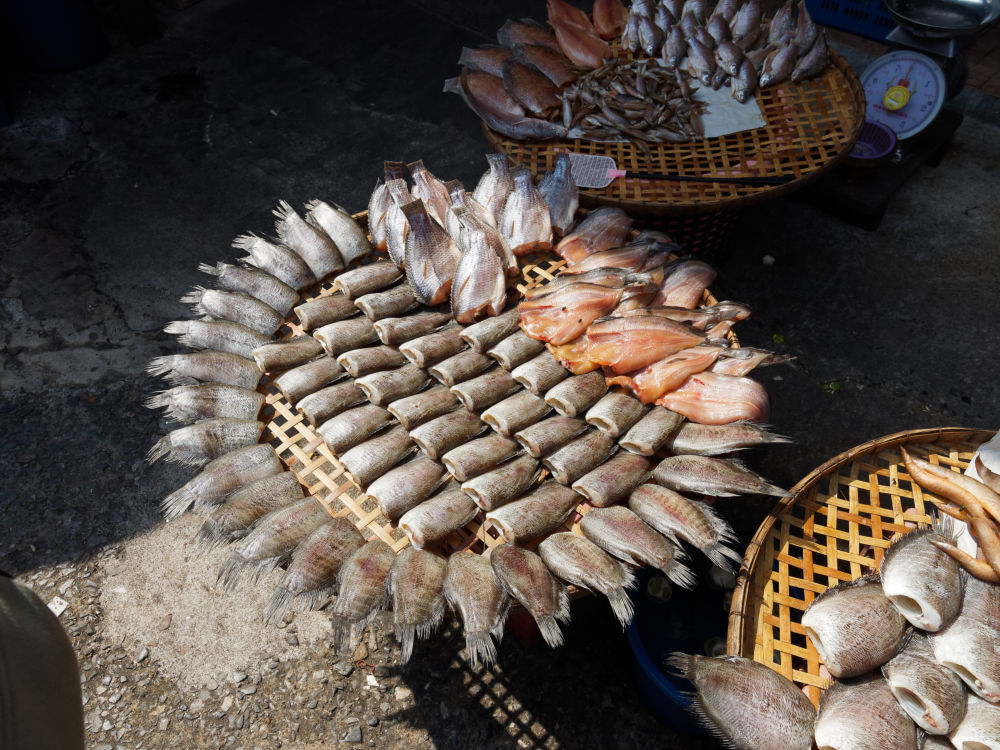Thailand: Auf einem Fischmarkt in Thonburi