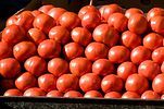 Tomaten in der Markthalle - Athen / Griechenland 2009
