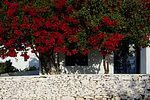 Folegandros / Griechenland 2010