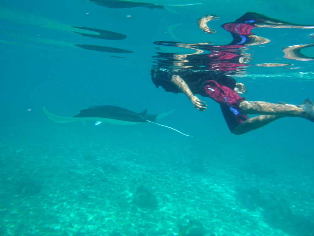 Unterwasserfoto mit wasserdichter Kompaktkamera - Komodo, Indonesien