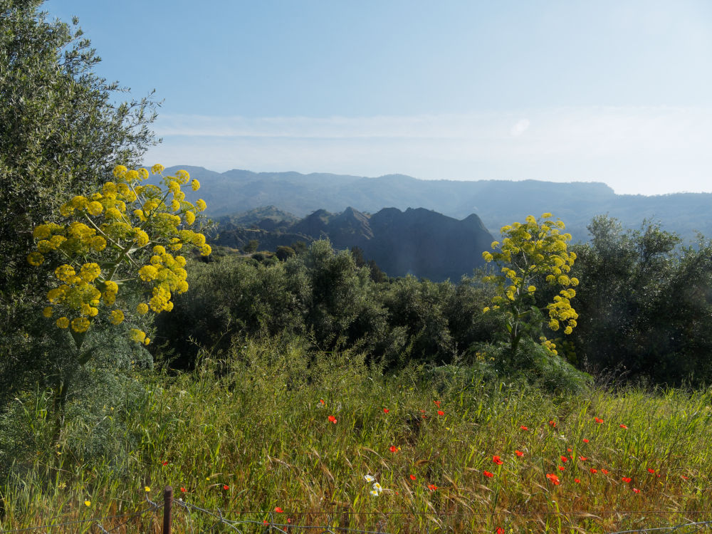 Kreta im Frühjahr: Südliches Dikti-Massiv