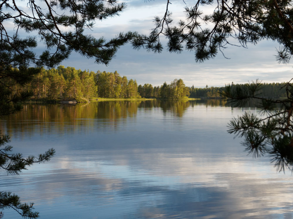 Finnischer See Pyhävesi - unweit Mikkel