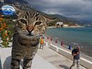 Samos September / Oktober 2014: In Limnionas