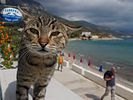 Samos September / Oktober 2014: In Limnionas