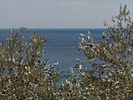 Samos September / Oktober 2014: Bei Limnionas