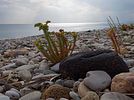 Samos September / Oktober 2014: Balos