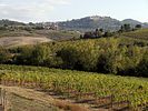 Montepulciano  Pienza und Umgebung / Toskana / Italien