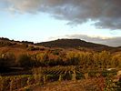 Montepulciano  Pienza und Umgebung / Toskana / Italien