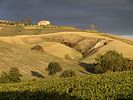 Montepulciano  Pienza und Umgebung / Toskana / Italien