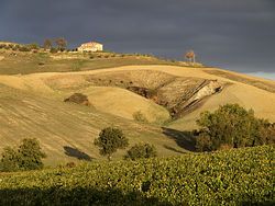 <p>Hügellandschaft nahe Montepulciano</p>