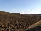 Montepulciano  Pienza und Umgebung / Toskana / Italien